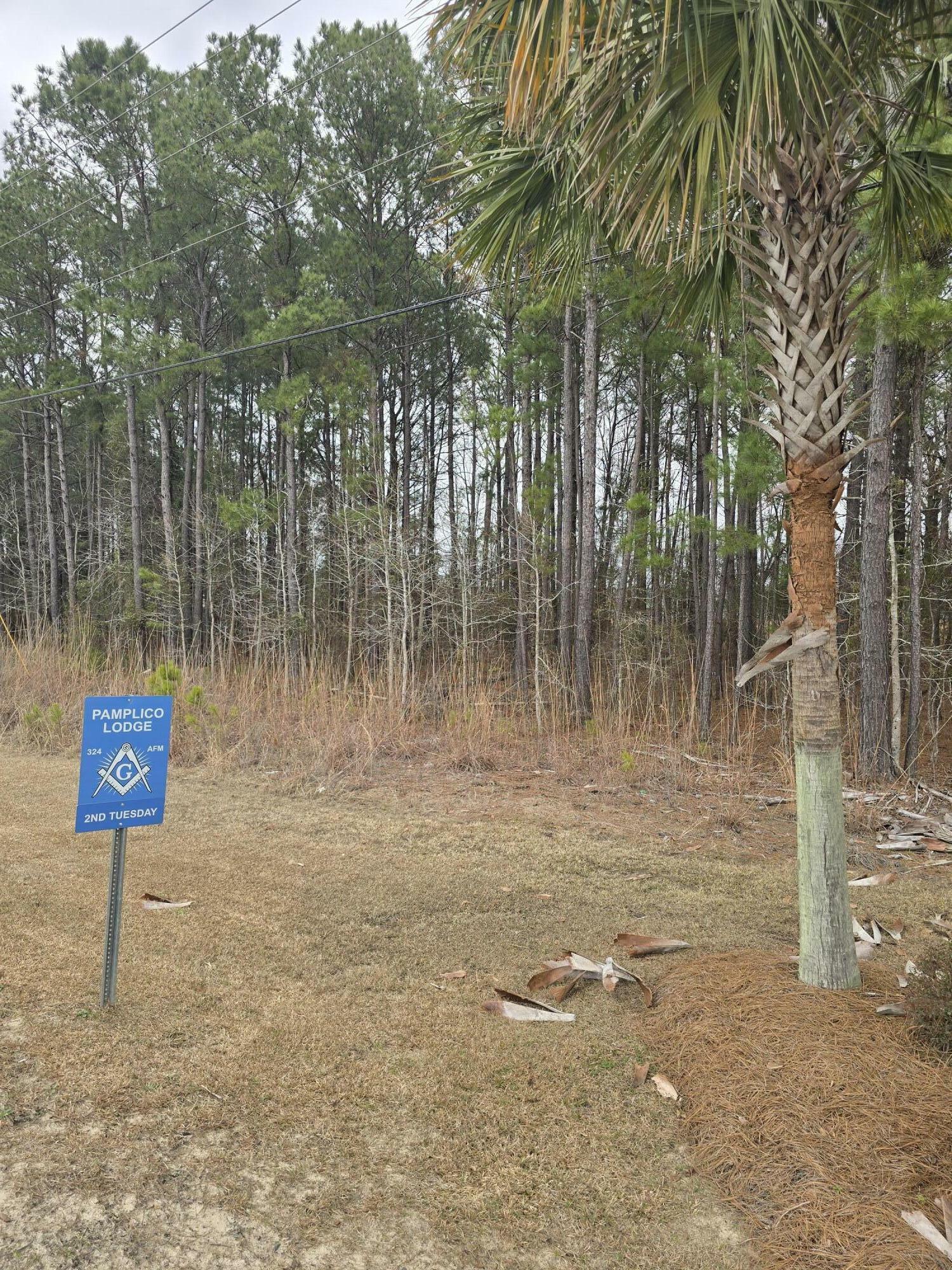 Property Photo:  0 S Pamplico Highway  SC 29583 