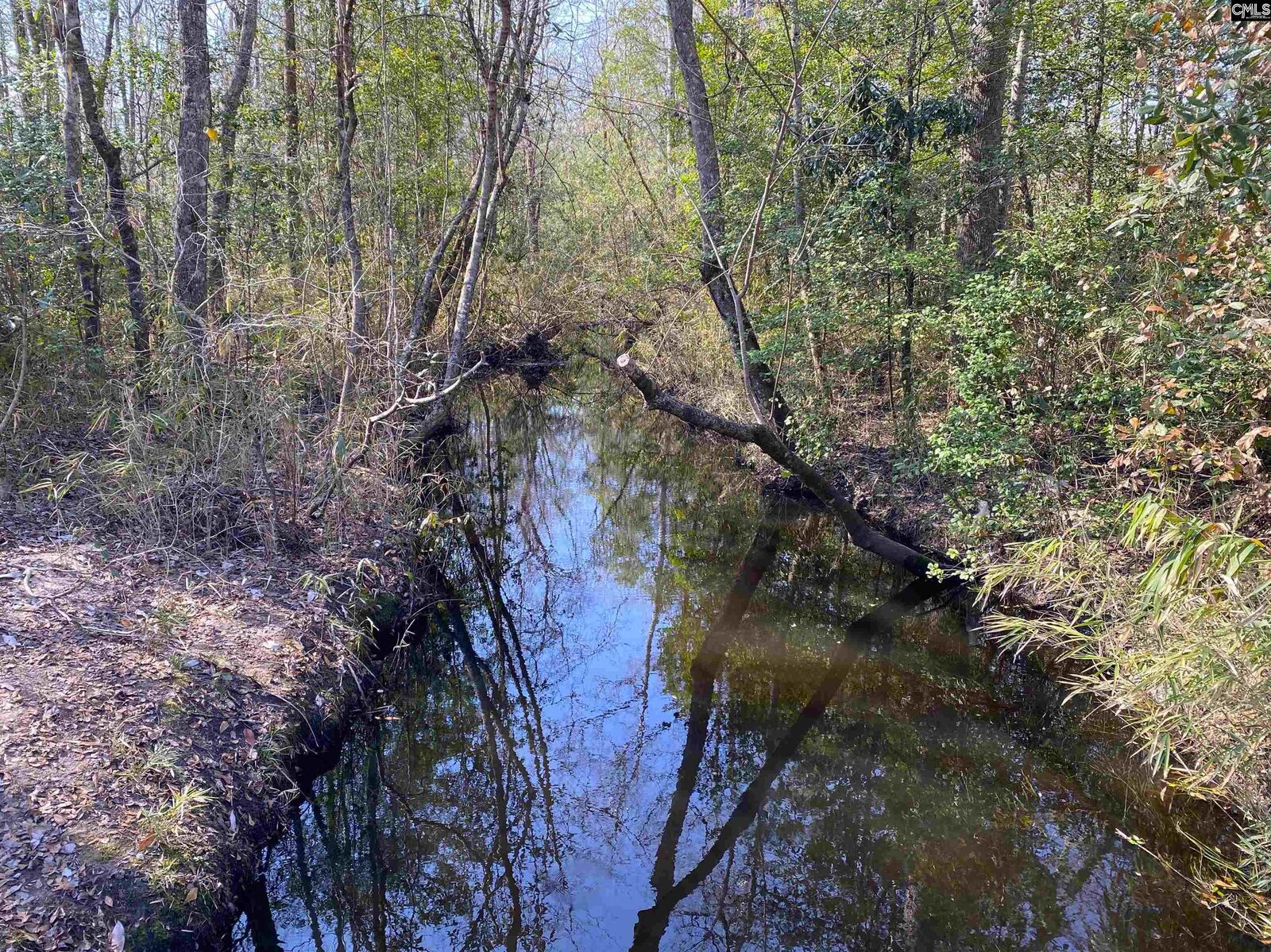 Property Photo:  Tbd 2 Juniper  SC 29843 