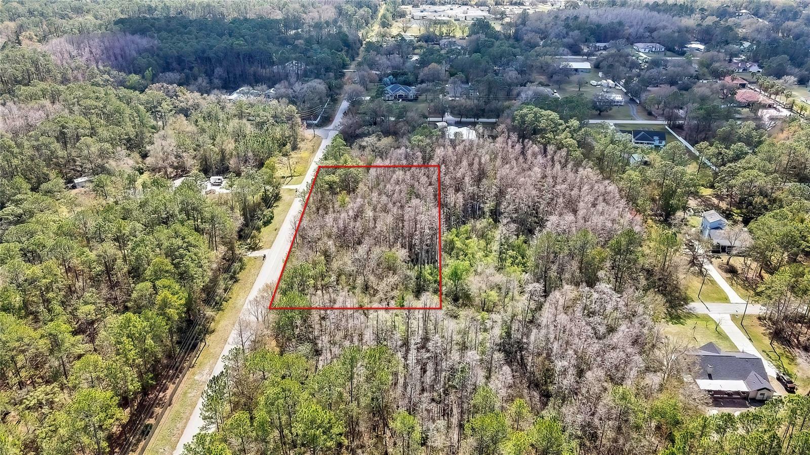 Property Photo:  Beaver Lane  FL 33544 