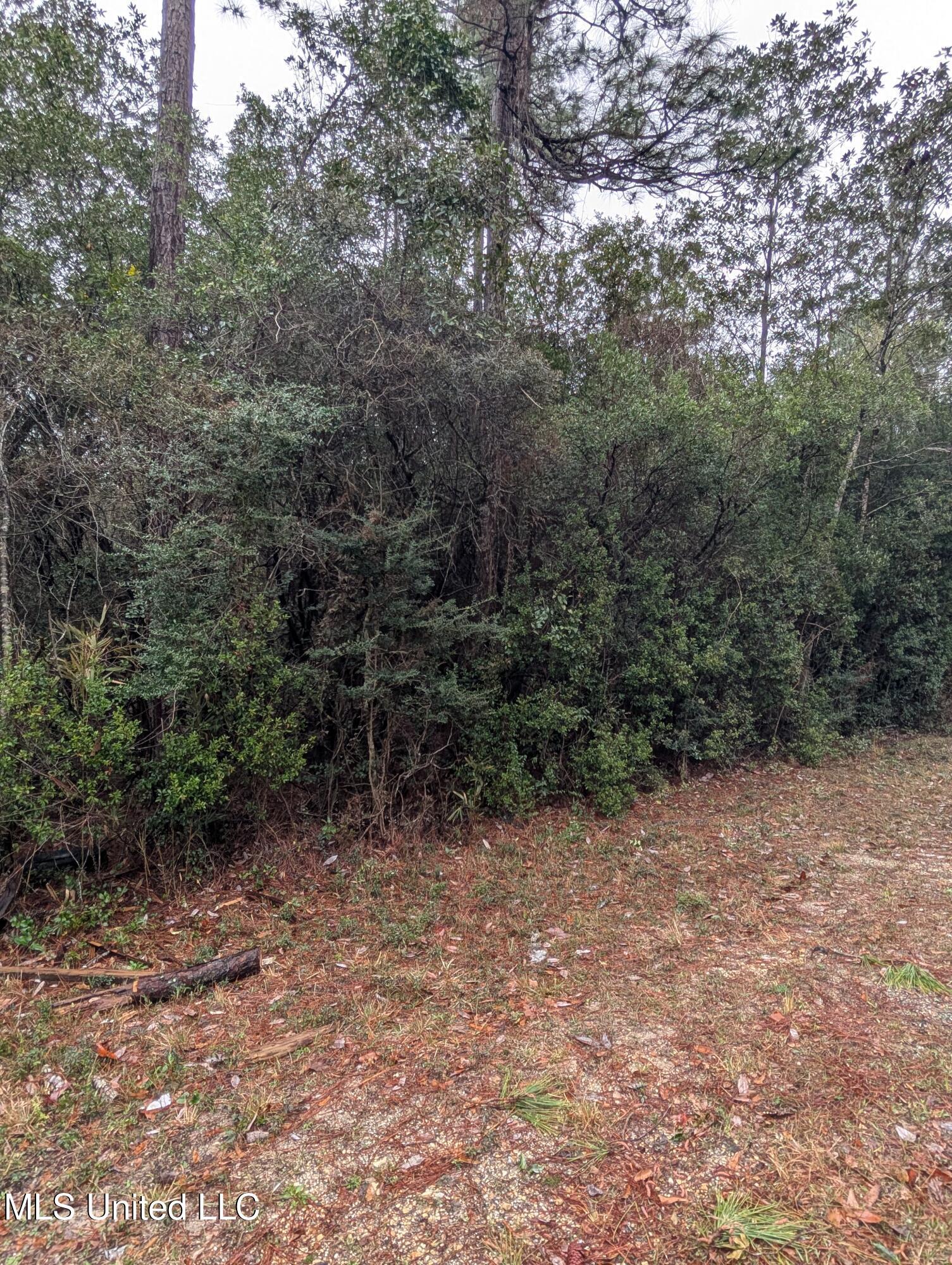 Property Photo: 7 &Amp 8 Gulf Street MS 39520