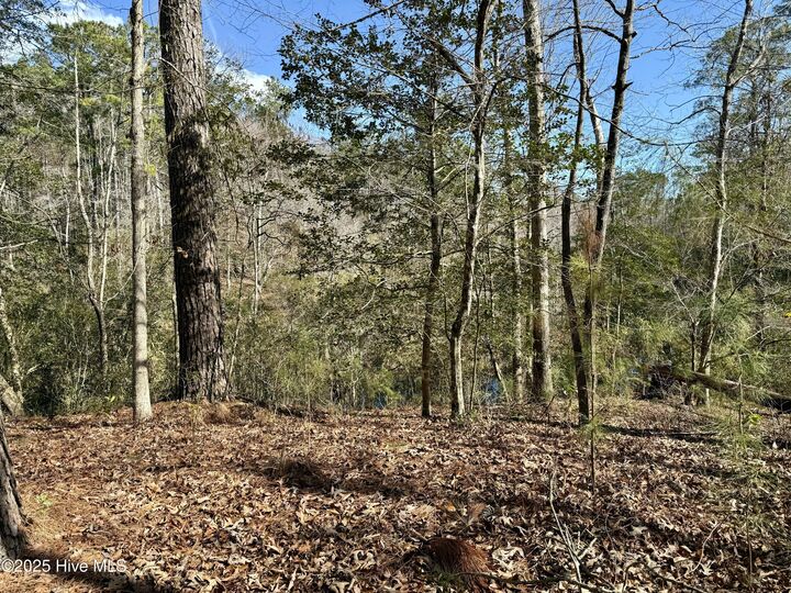 Property Photo:  00 Old Tar Landing Road  NC 28540 
