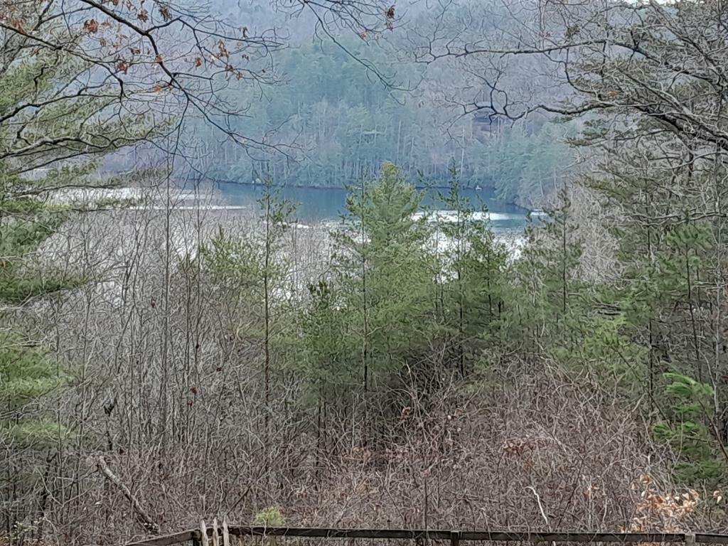 Property Photo: 78 Owls Roost Lane NC 28906