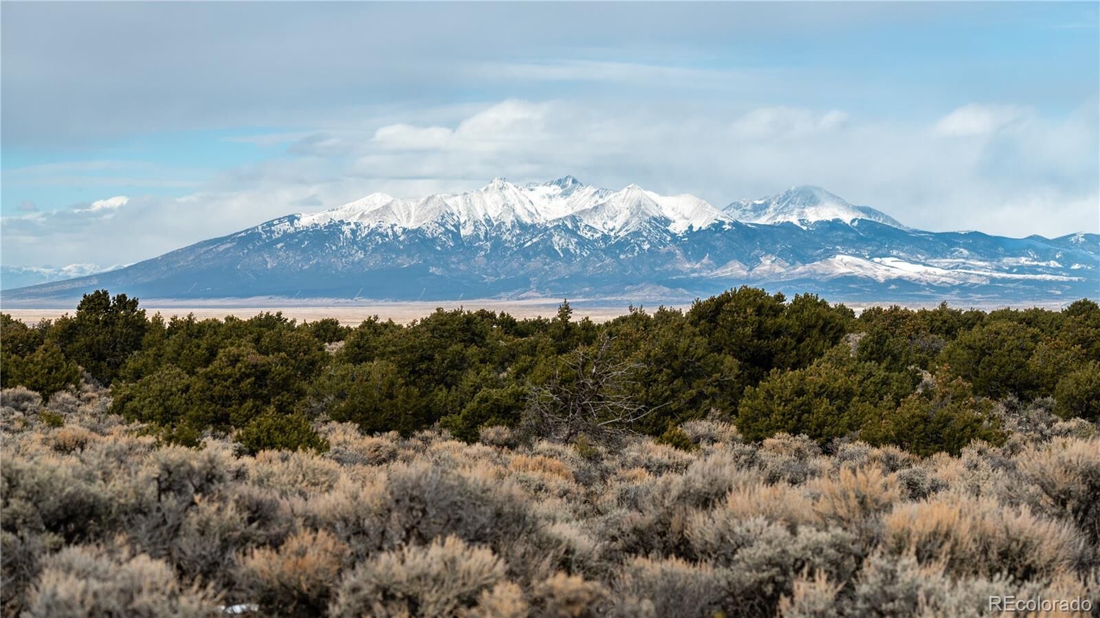 Property Photo:  Tract 5 Reichwein Ranch At Wild Horse Mesa  CO 81152 