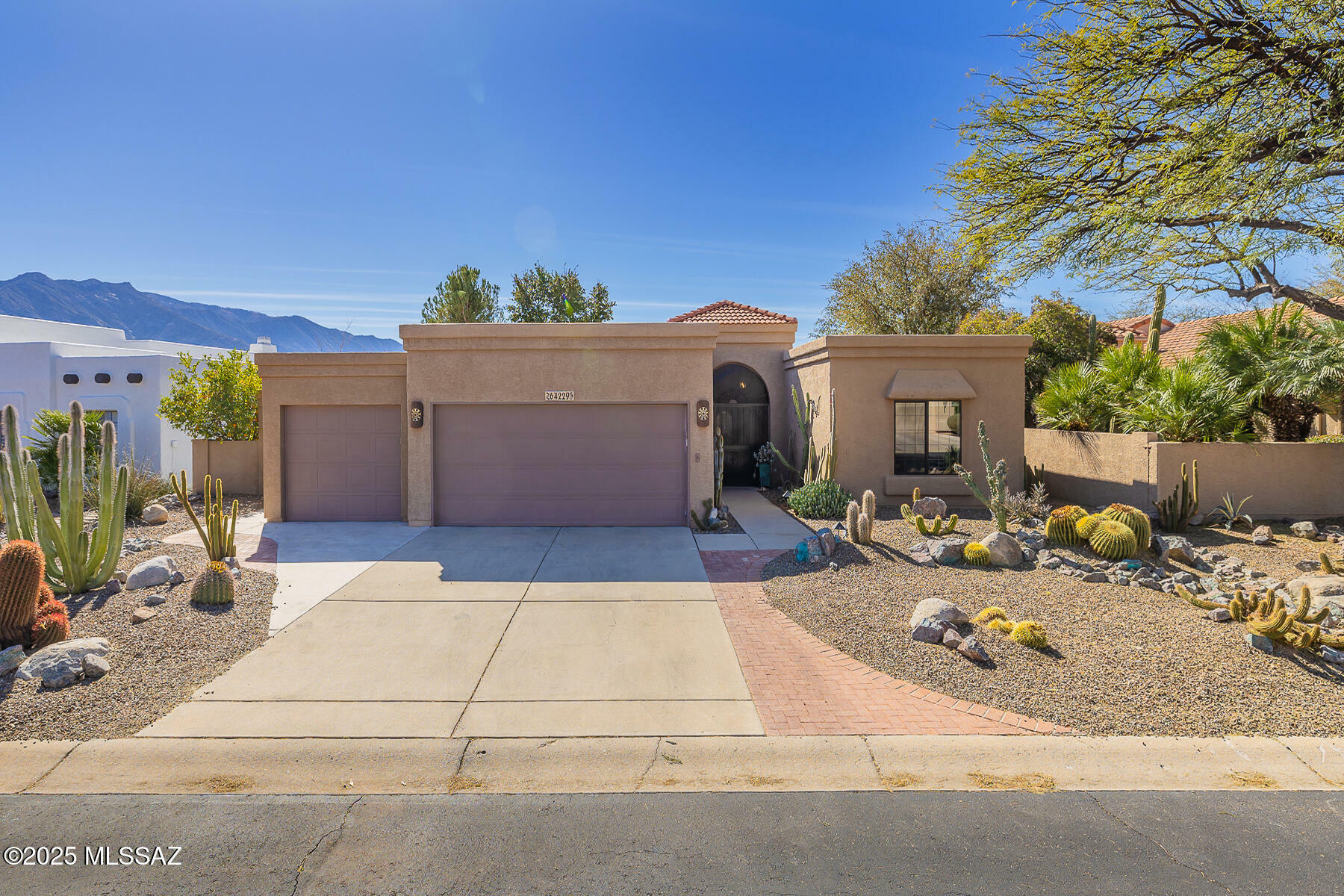 Property Photo:  64229 E Orangewood Lane  AZ 85739 