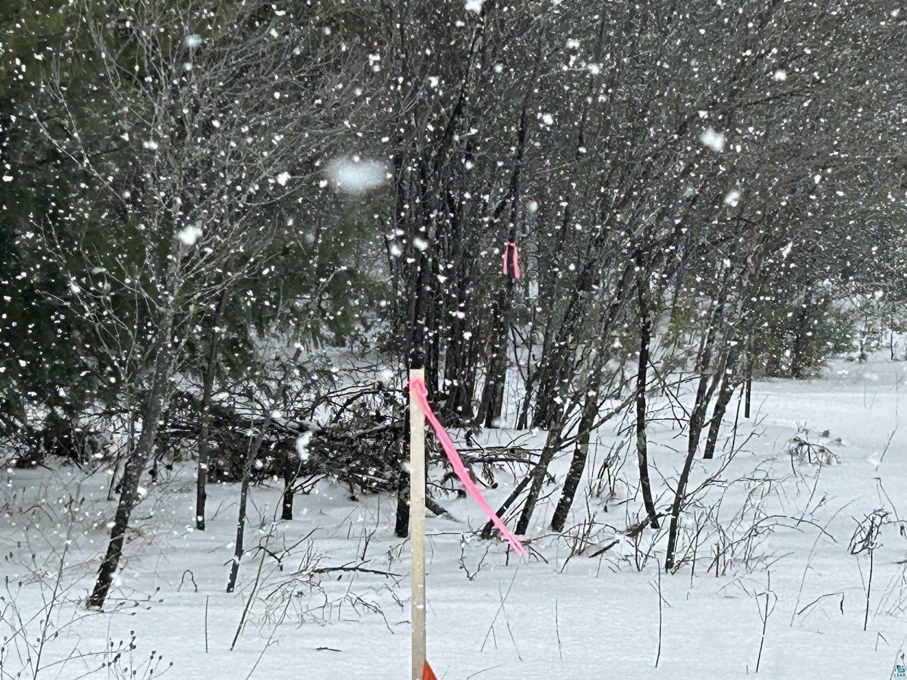Property Photo: Lot 3 North Shore Dr WI 54847