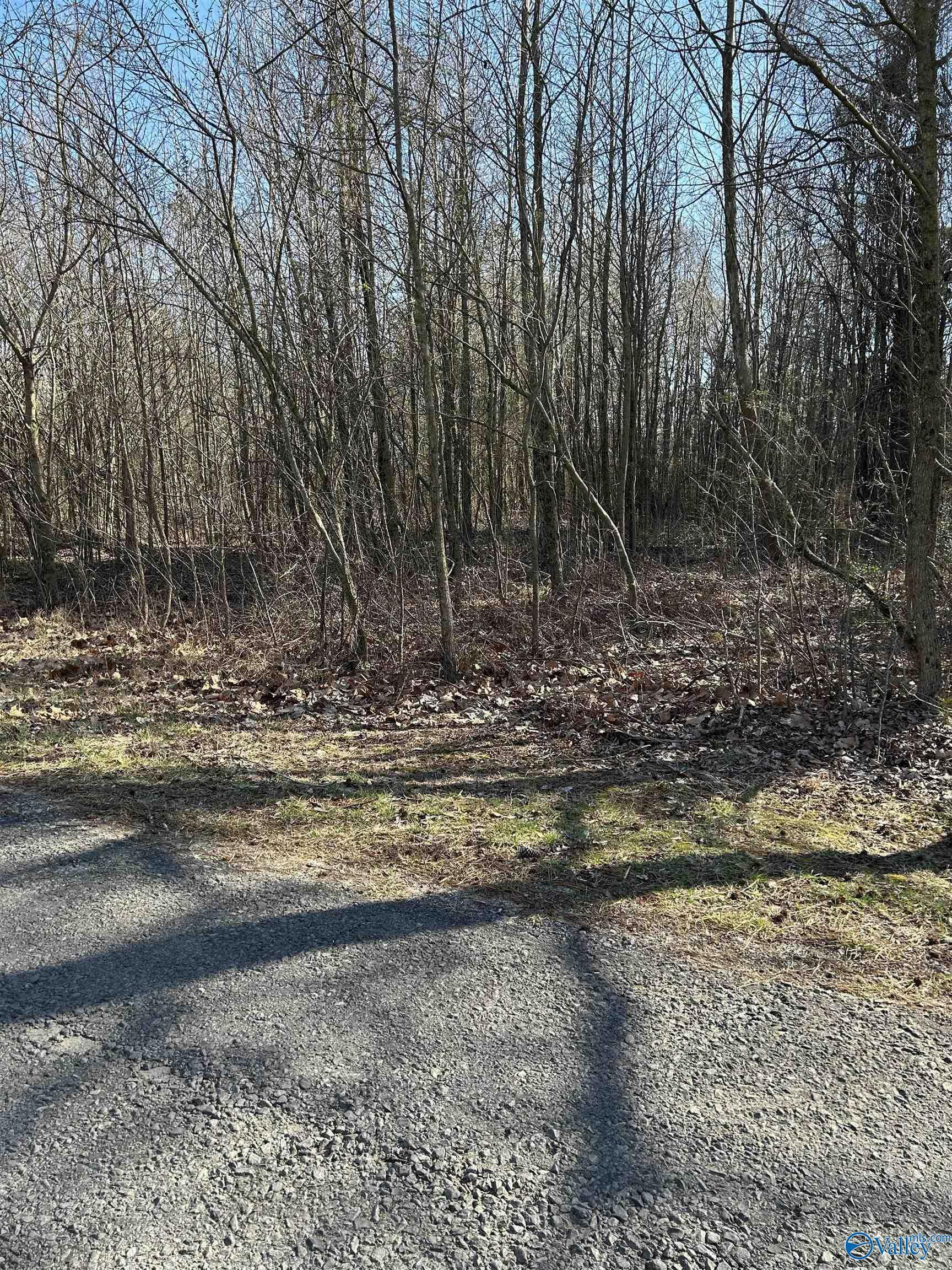 Property Photo:  1 Acre Willis Road  AL 35175 