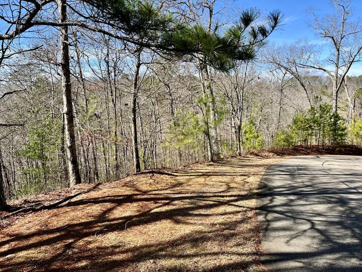 Lt 105 Tumbling Waters Lane  Ellijay GA 30540 photo