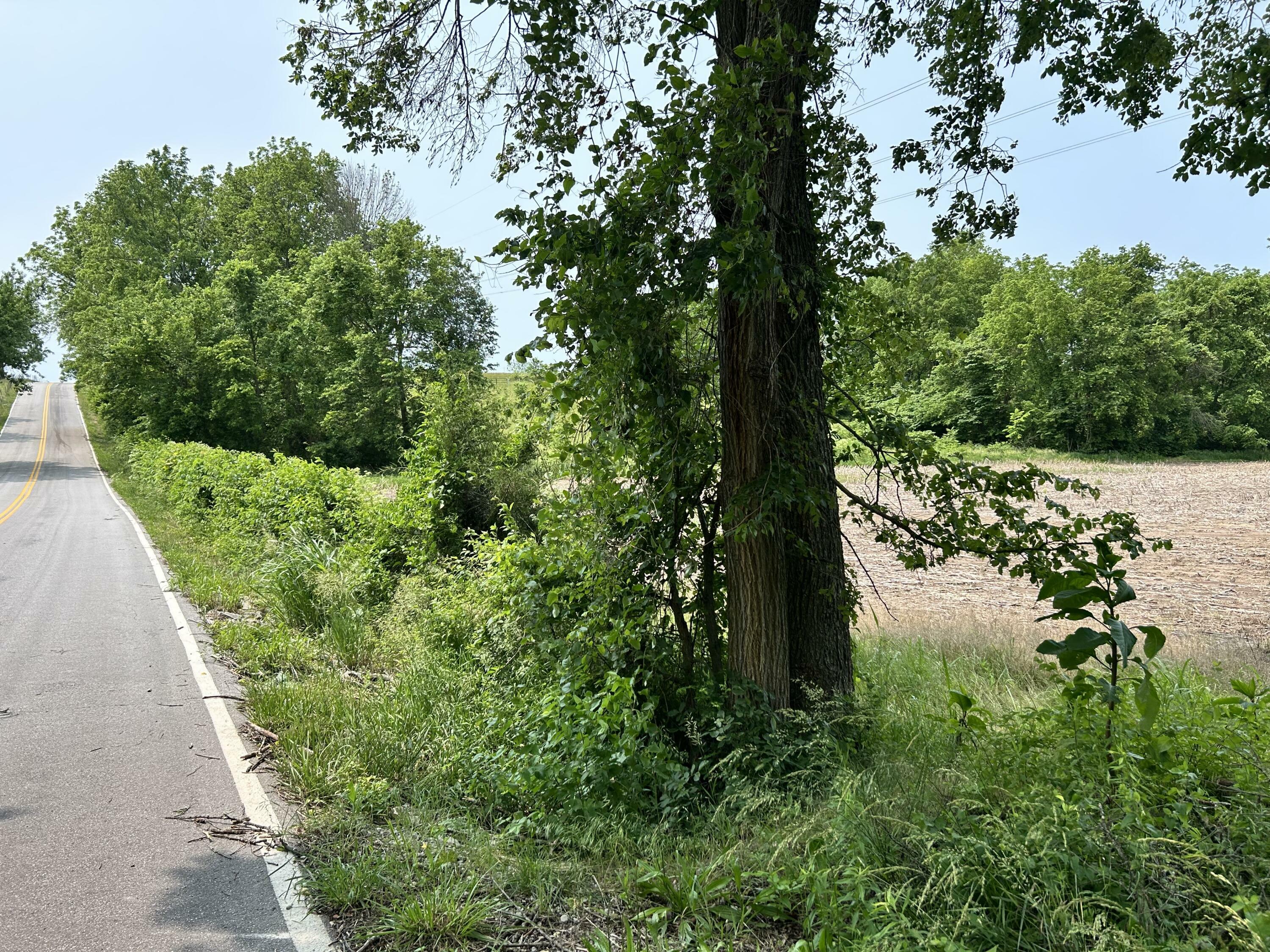Property Photo:  Lot 3 S Farm Rd 83  MO 65802 
