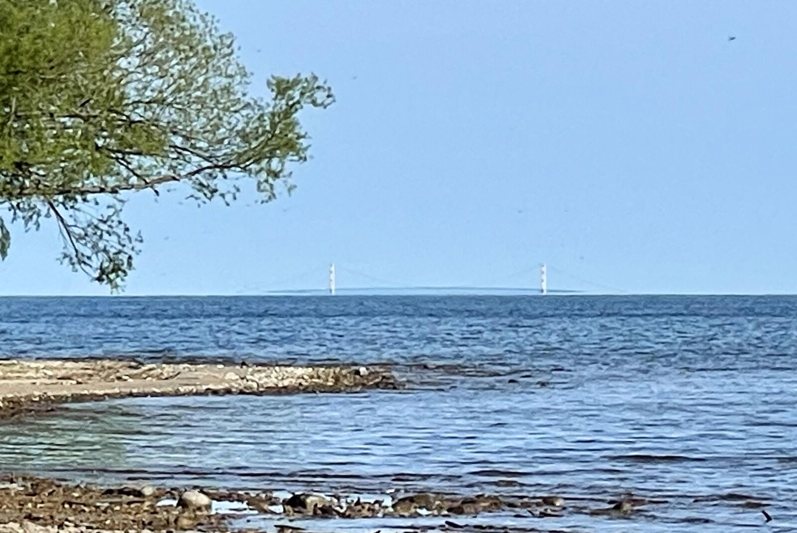 Property Photo:  1244 Lofgren Shore Drive  MI 49721 