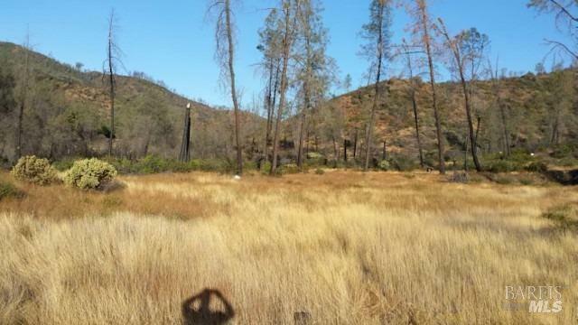 Property Photo:  0 Butts Canyon Road  CA 94567 