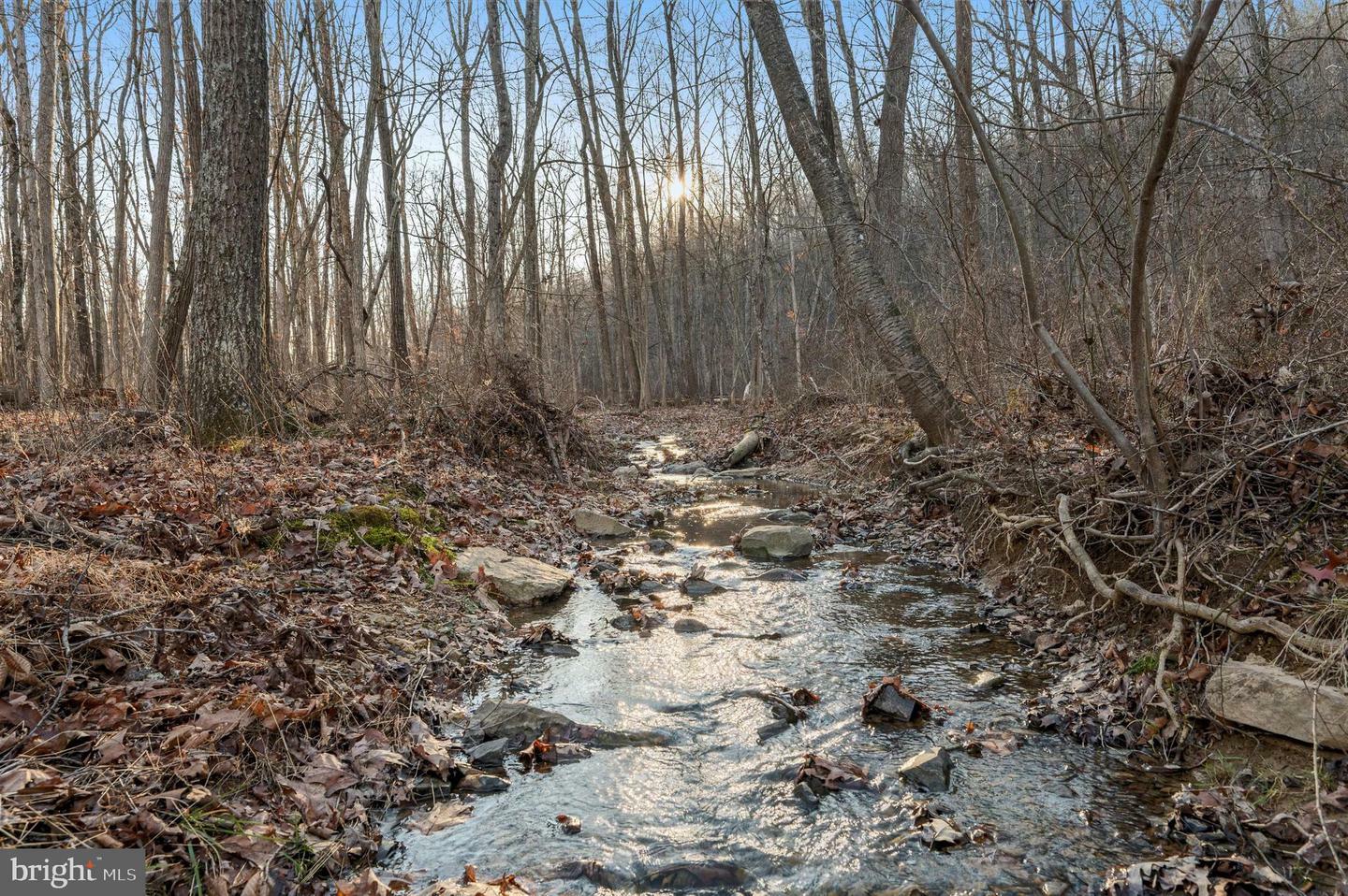 Property Photo:  Lot 5 Back Creek Rd  VA 22637 