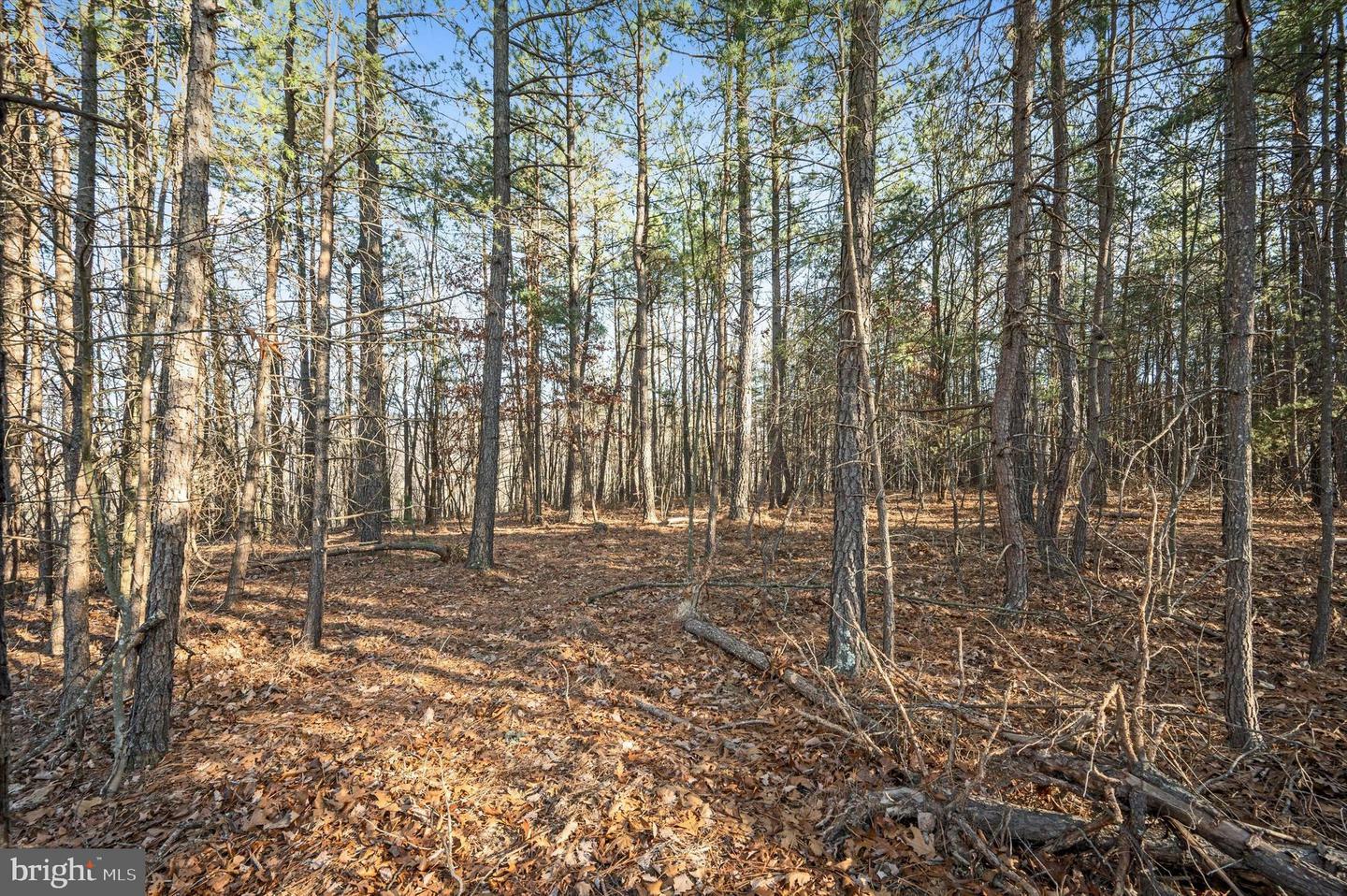 Property Photo:  Lot 4 Back Creek Rd  VA 22637 