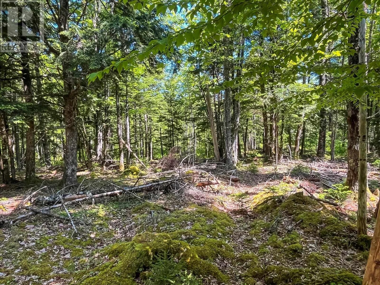 Property Photo:  Lot 1000  Conquerall Road  NS B0R 1G0 