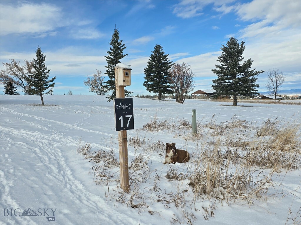 Property Photo:  Tbd Lot 17 Boreal Way  MT 59715 