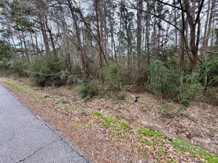 Property Photo: Lot 105 Whisperwood Drive TX 77360