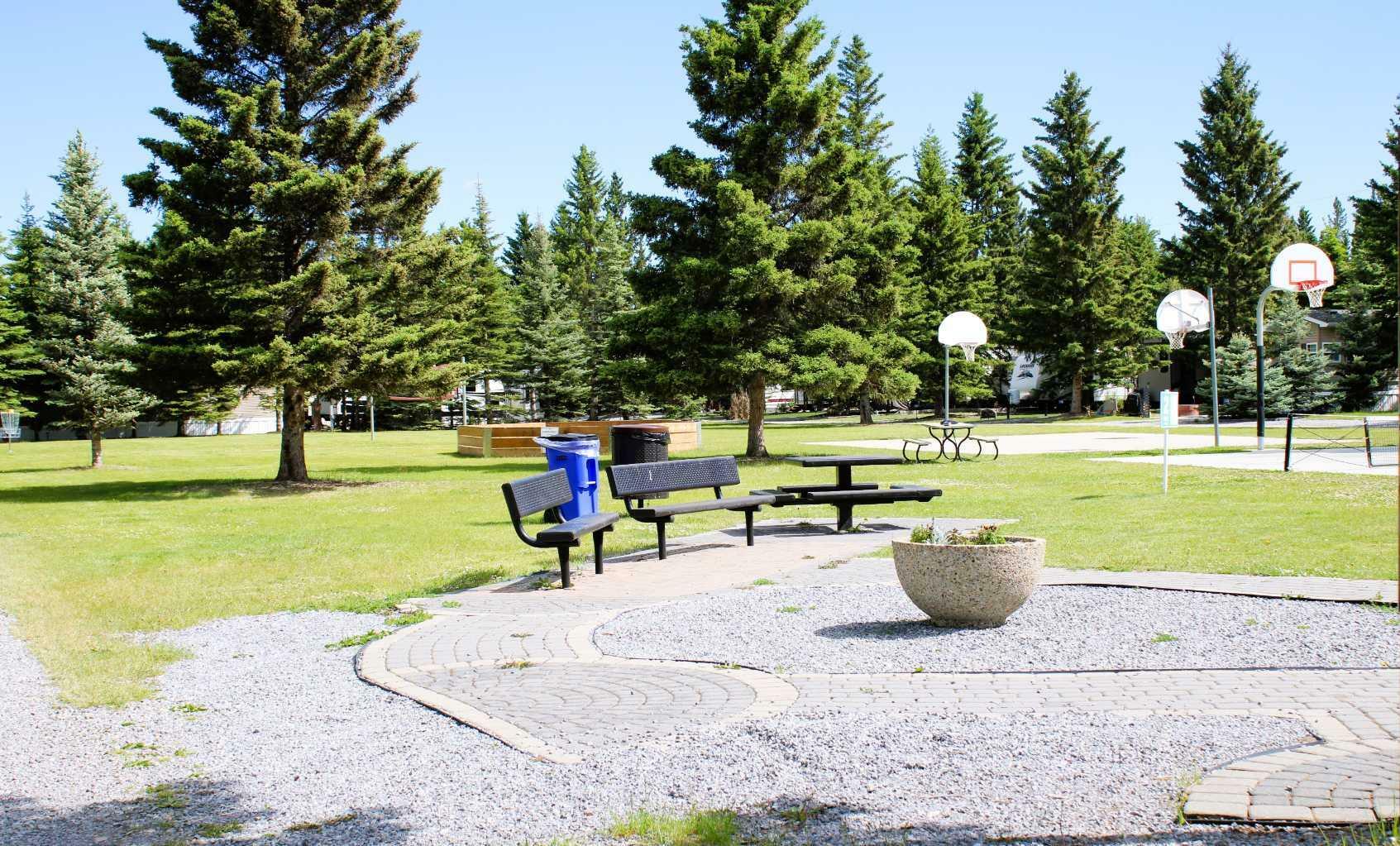 Photo de la propriété: 5230 Highway 27 246 AB T0M 1X0
