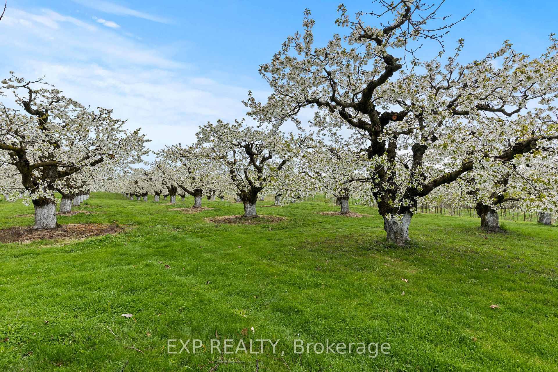 Property Photo: 1909 Effingham Street ON L0S 1M0