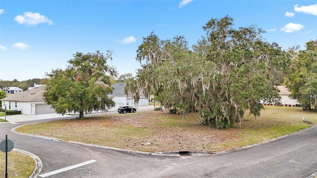 Property Photo:  29041 Grandview Manor  FL 32097 