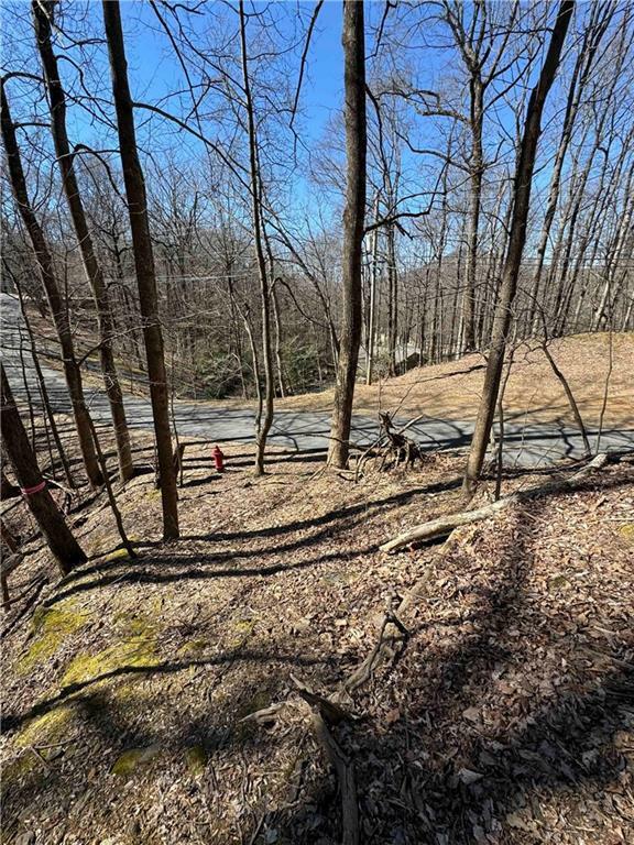 3366 Crippled Oak Trail  Jasper GA 30143 photo
