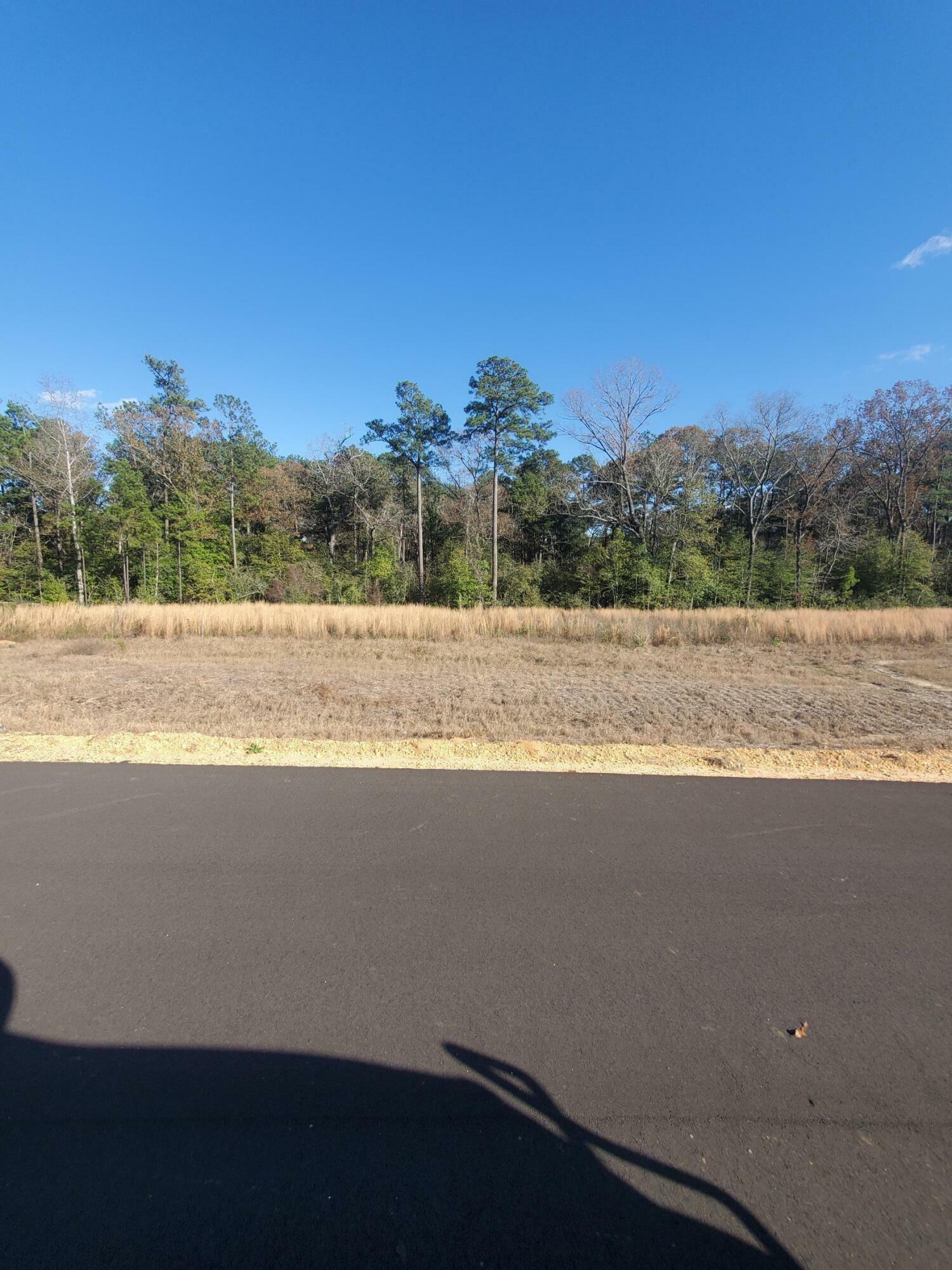 Property Photo: 23 Sandhill MS 39402