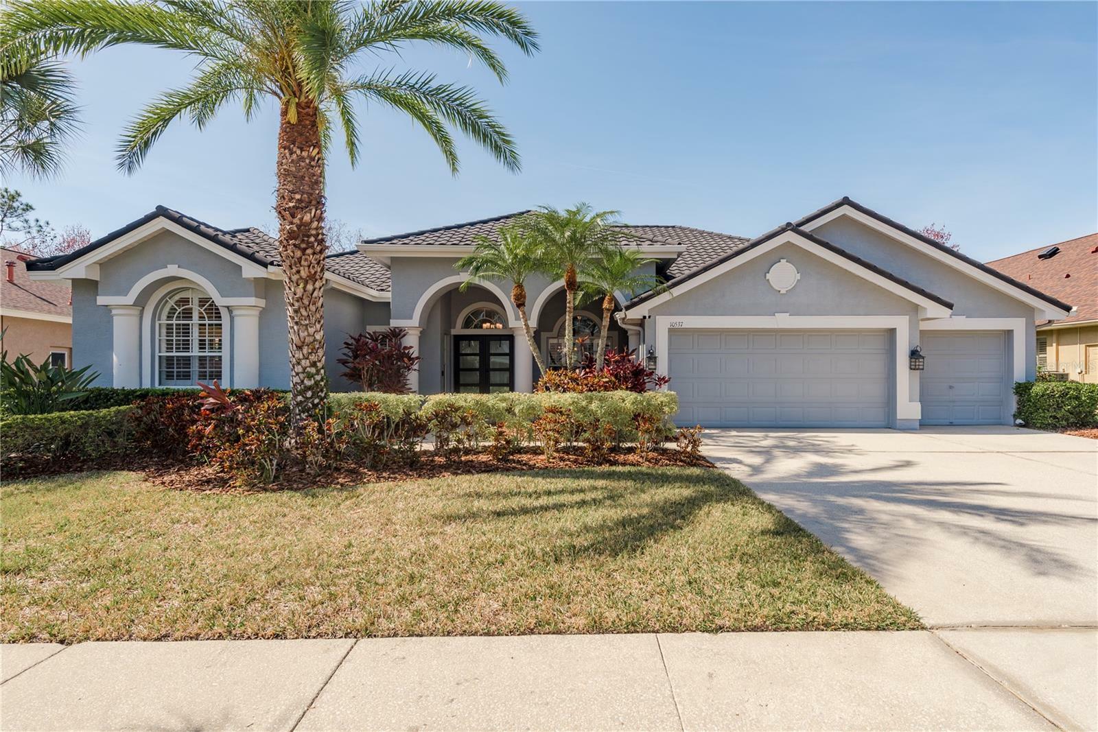 10537 Greensprings Drive  Tampa FL 33626 photo