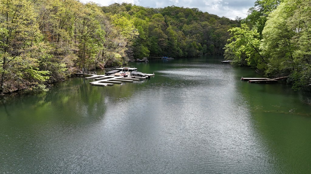 Property Photo: 967 Indian Lake Drive NC 28781