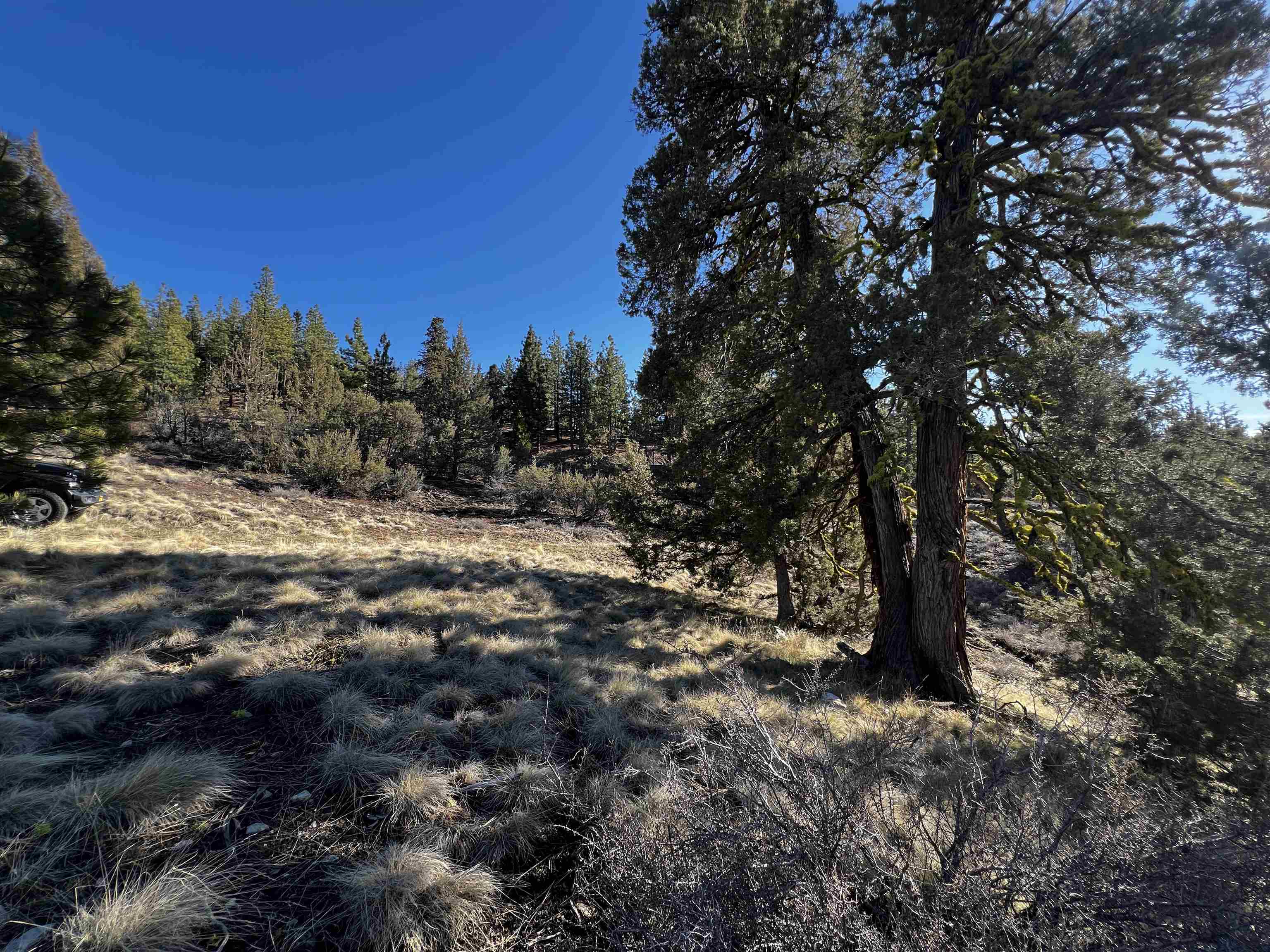 Property Photo:  22 Clouds Rest  CA 96122 