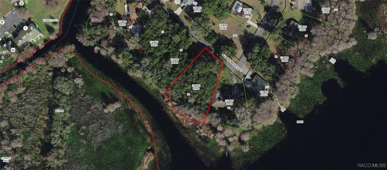 Property Photo:  2110 S Lake Spivey Point  FL 34450 