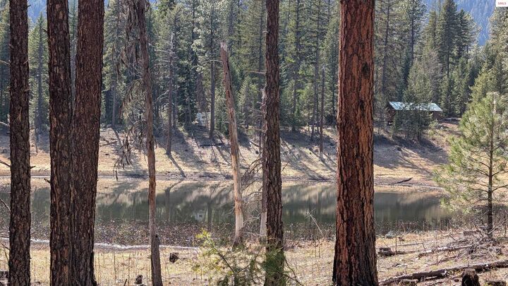 53396 Highway 95  Bonners Ferry ID 83805 photo