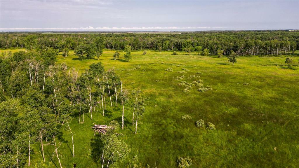 Property Photo: 61 Harmony Drive MB R5G 2L5