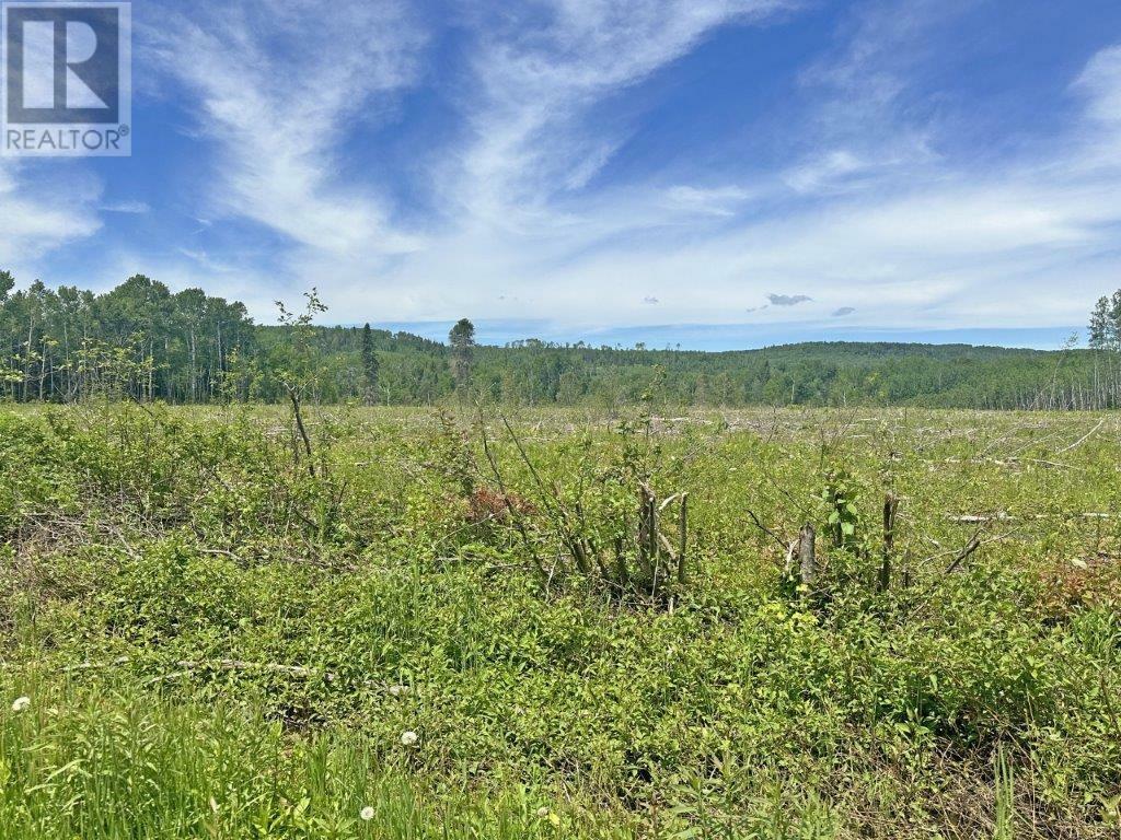 Photo de la propriété:  Part 1 Larson Road  ON P7L 0A4 