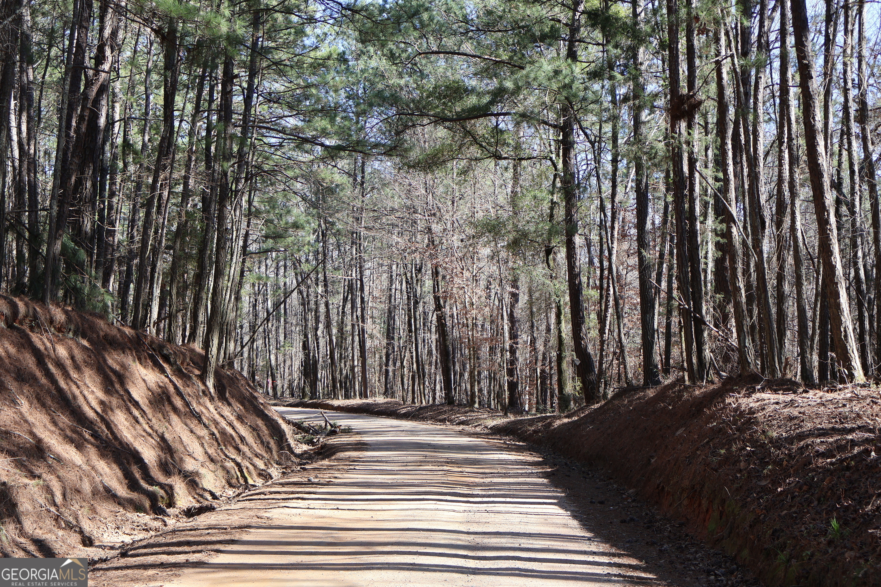 Property Photo:  90 +/- Acres English Road  GA 31029 