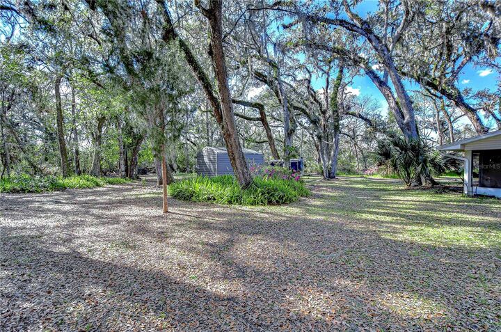 Property Photo: 13908 Paradise Lane FL 33525