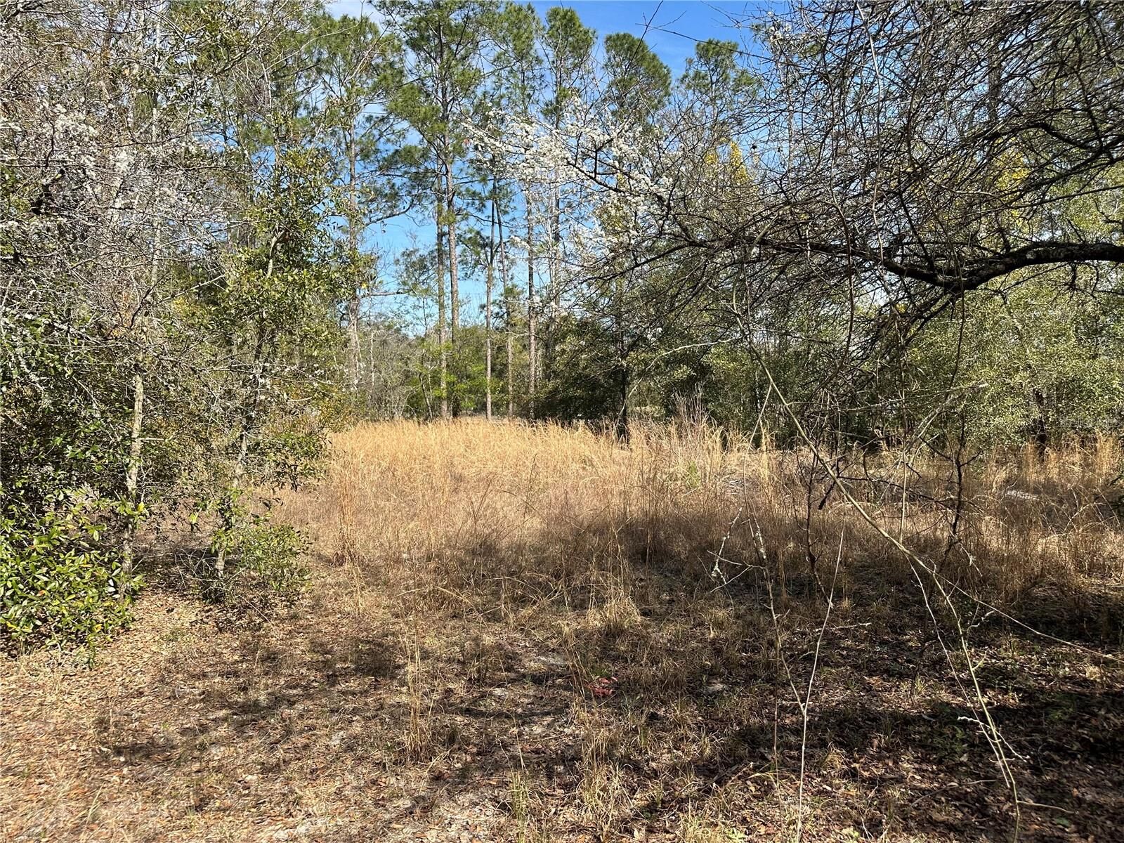 Property Photo:  Tbd 198th Trail  FL 32071 
