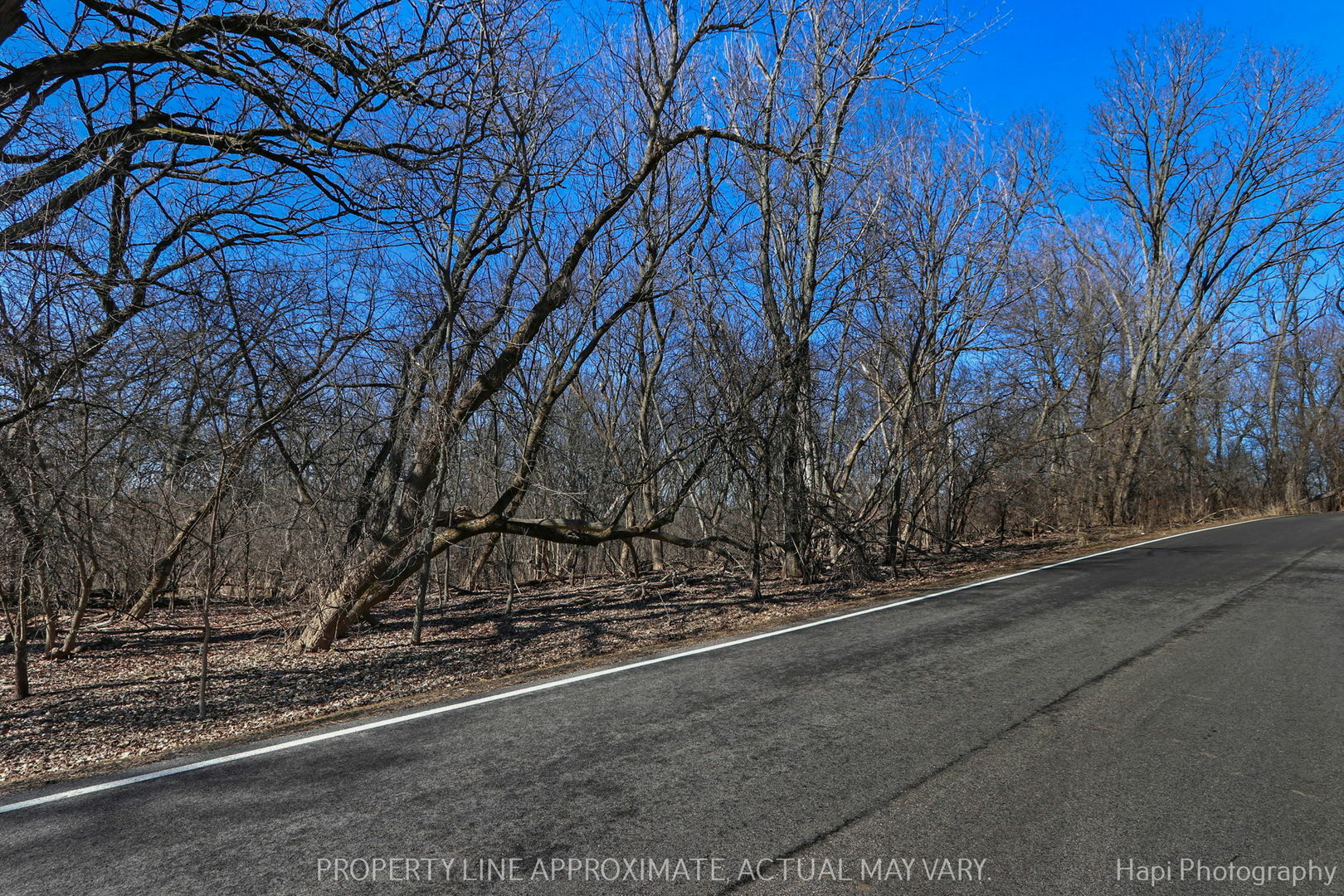 Property Photo:  21260 N Prestwick Drive  IL 60010 