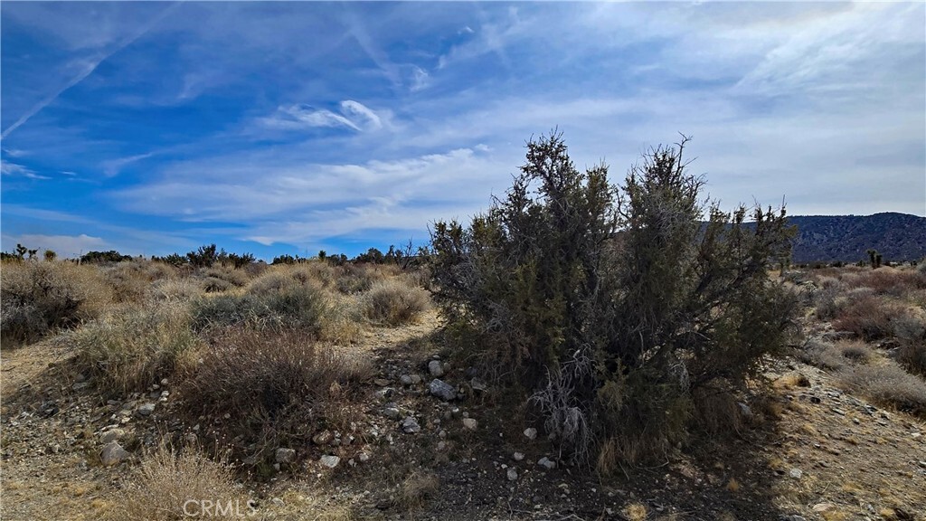 Property Photo: 0 Vicinity Ave Z8 & 235th St E CA 93544