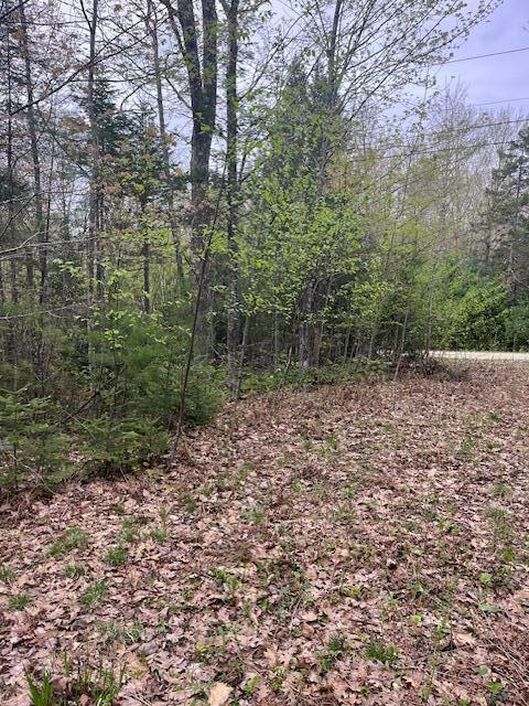 Property Photo: Lot 22 Taylor Woods Road ME 04217