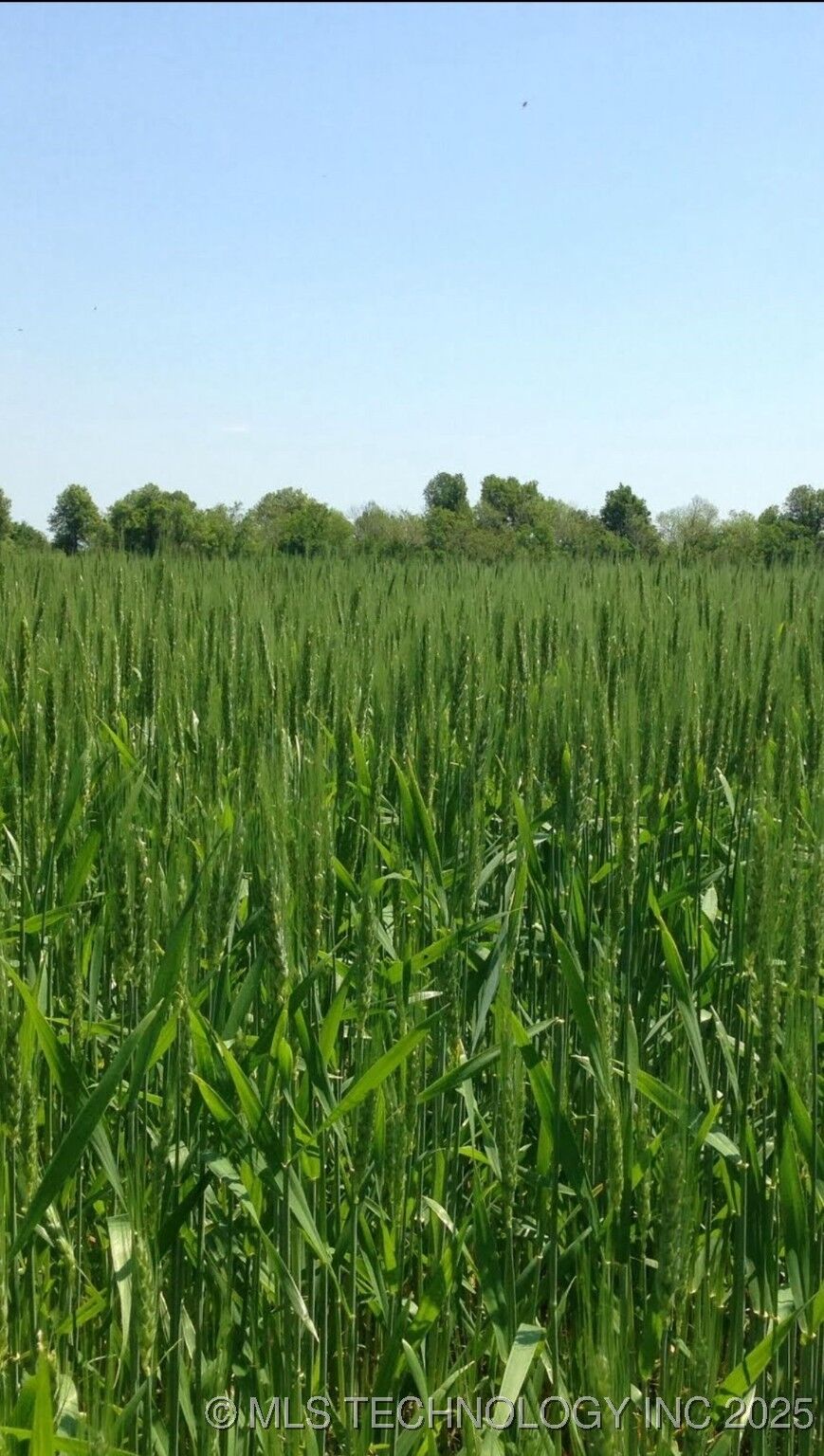 Property Photo:  4260 Road  OK 74301 