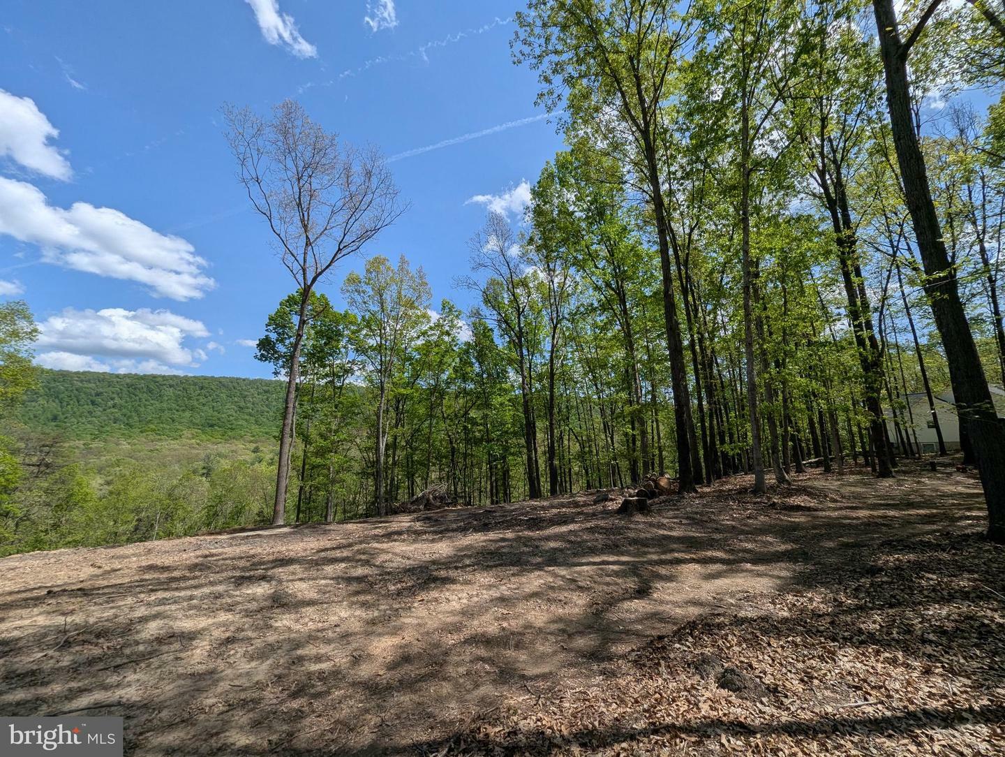 Property Photo:  Lot 20 Otter Creek Drive  WV 25420 