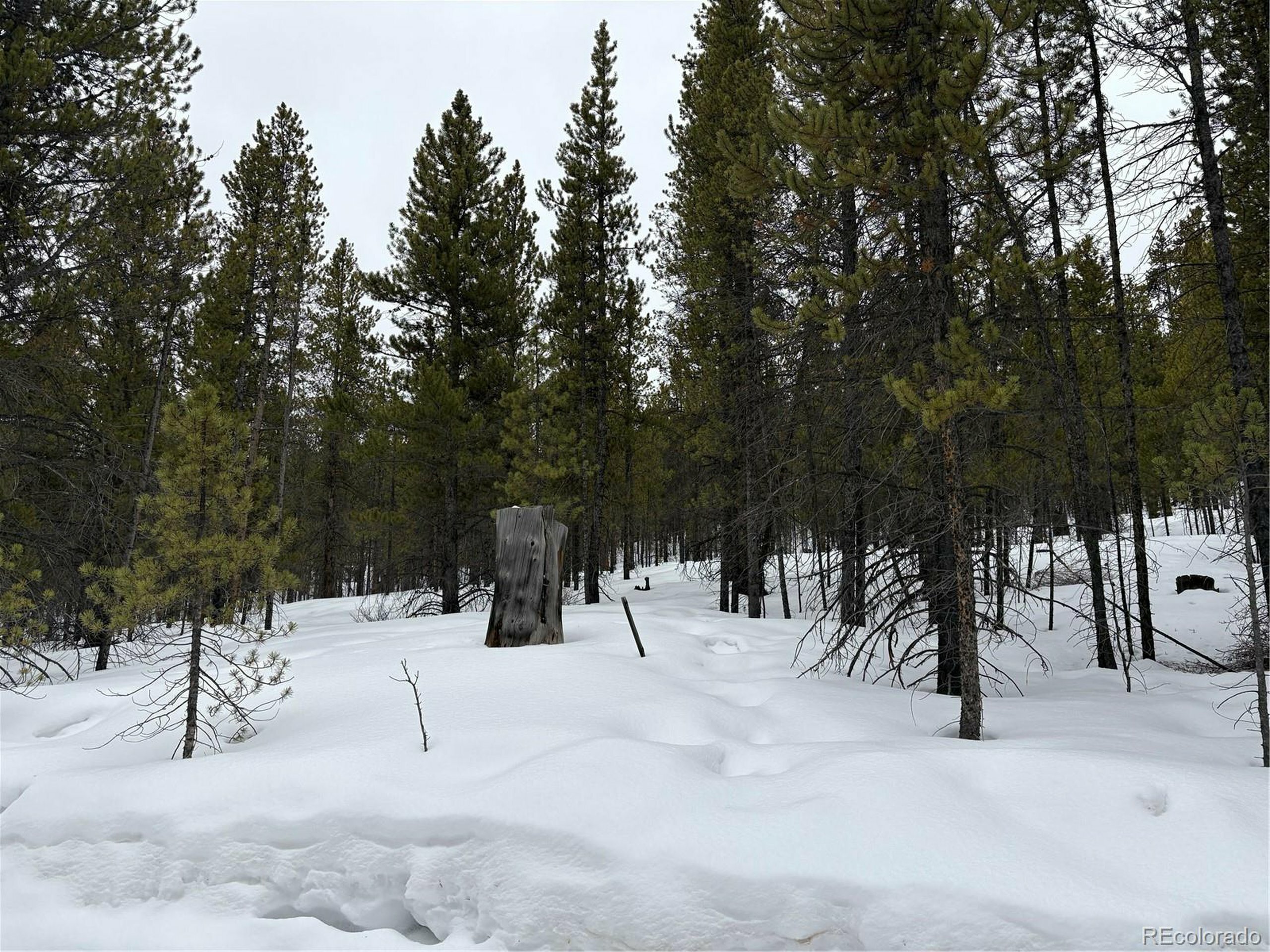 Property Photo:  