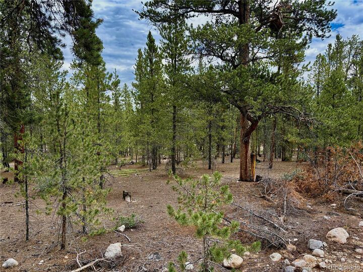 Property Photo:  