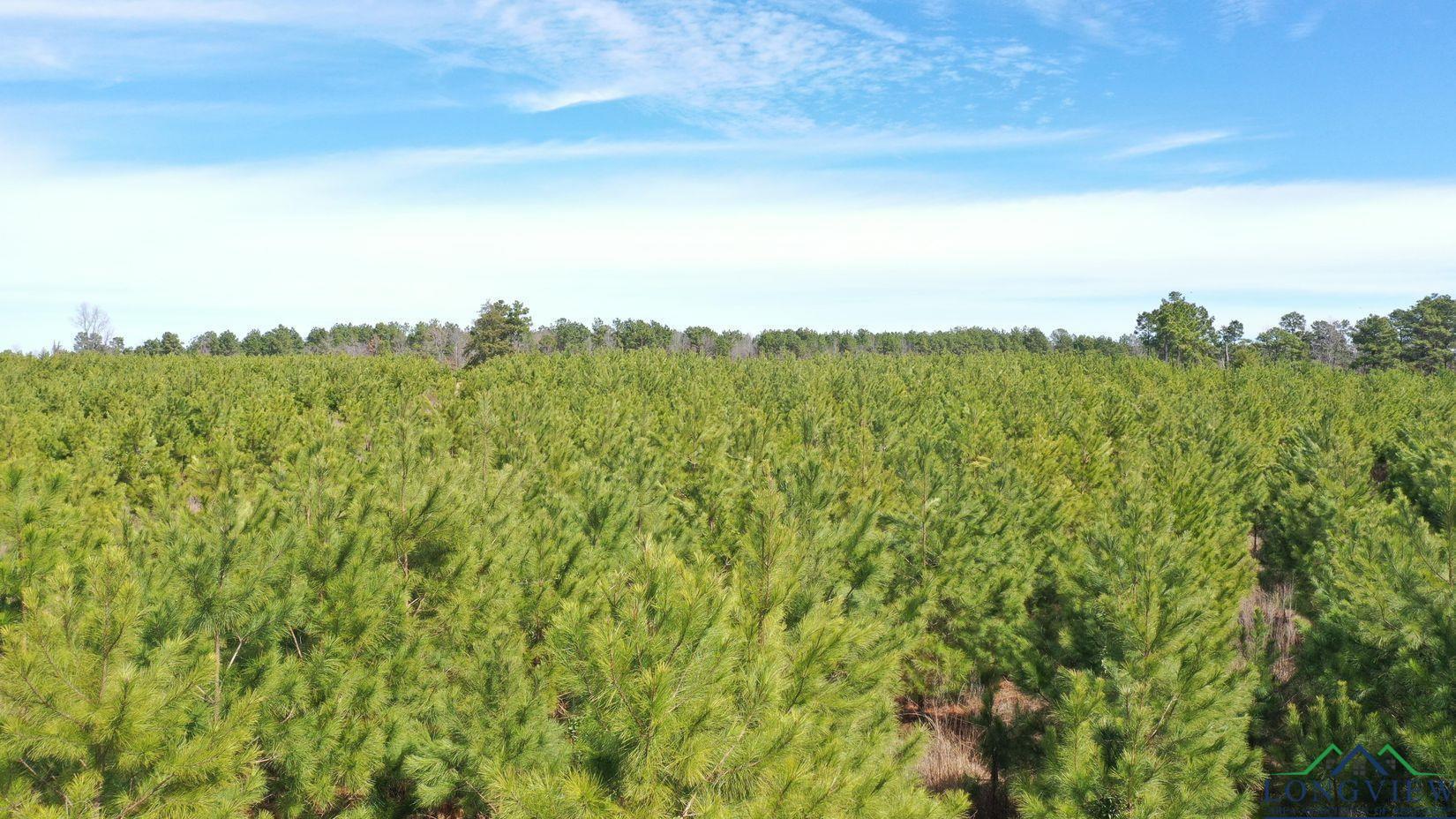 Property Photo: 0003 Cr 1115 TX 75551