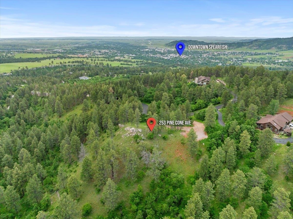 Property Photo:  253 Pine Cone Avenue  SD 57783 