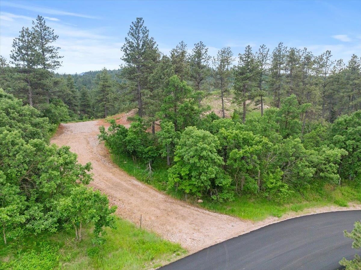 Property Photo:  253 Pine Cone Avenue  SD 57783 