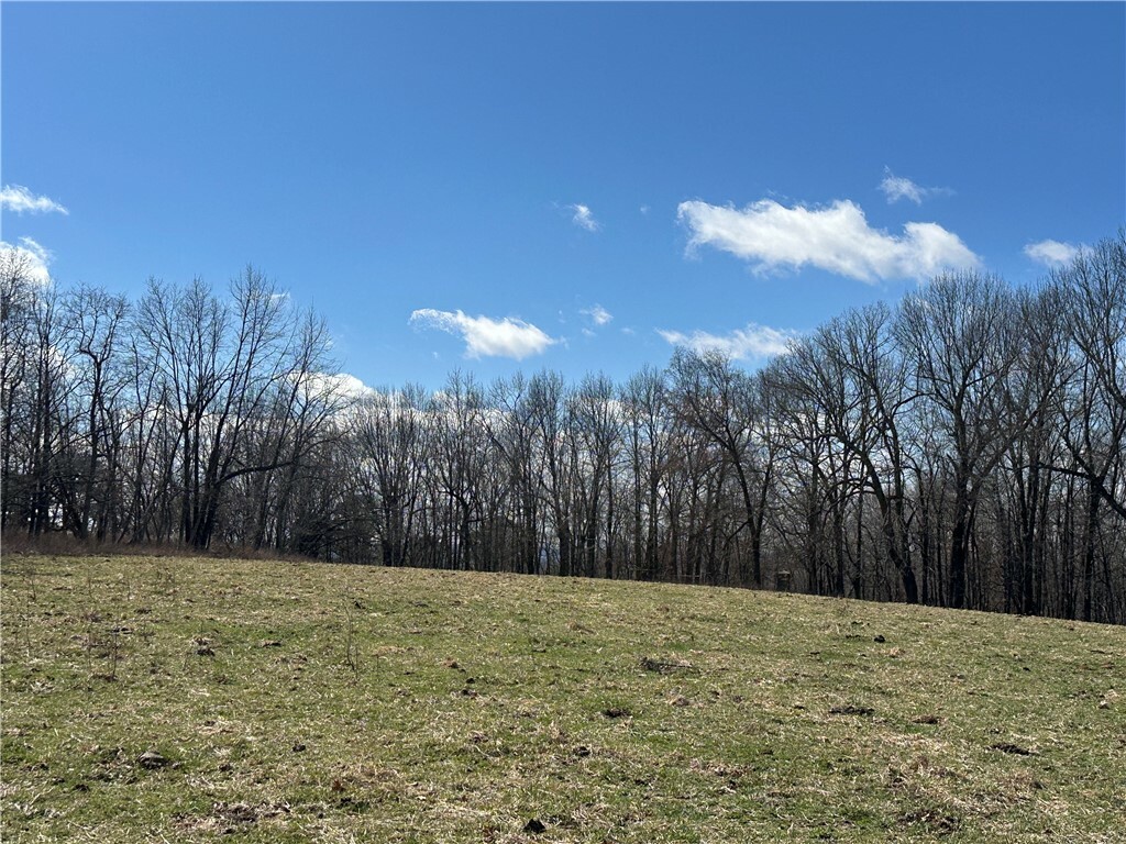 Property Photo: Tbd County Road 731 AR 72616