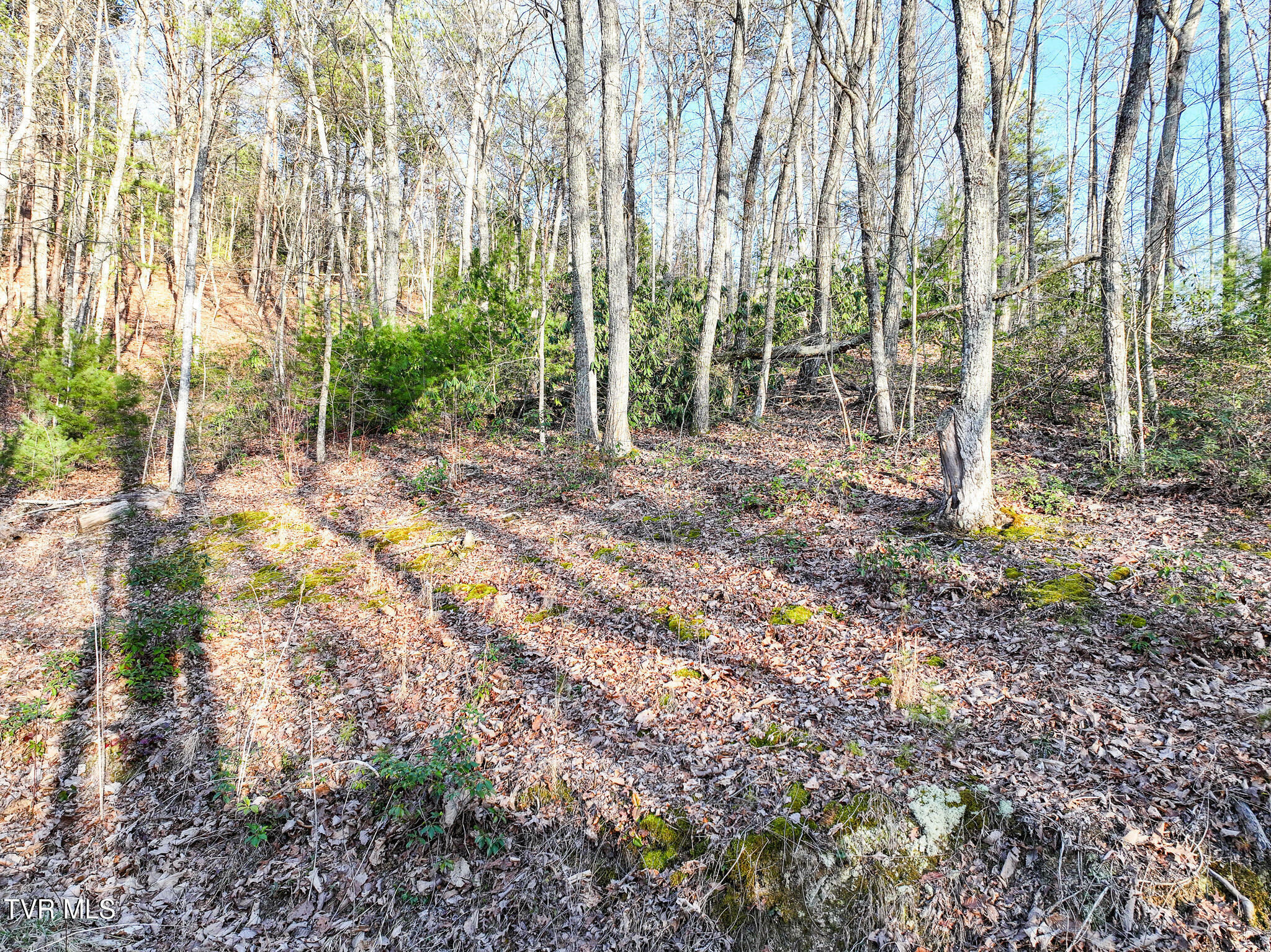 Property Photo:  Tbd Black Oak Dr  TN 37876 