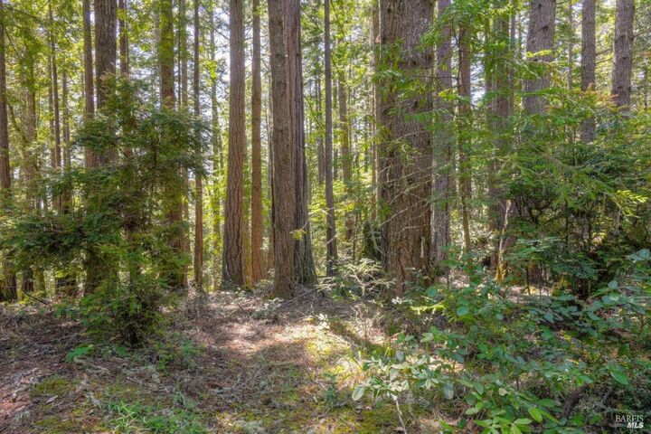 Property Photo:  335 Deerfield  CA 95497 