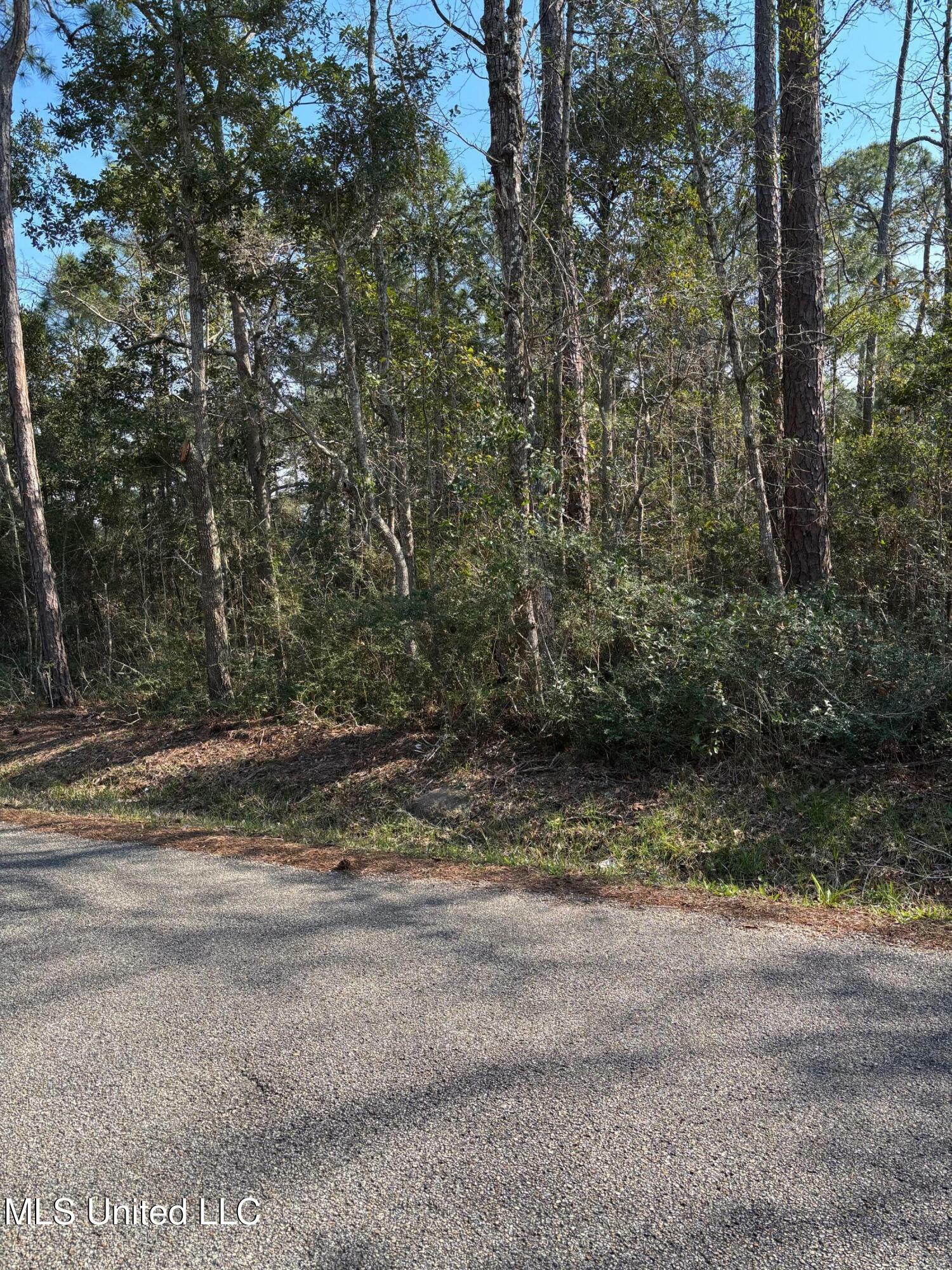 Property Photo:  Audubon Lane  MS 39571 