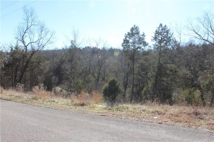 Property Photo: 15 Deer Run Drive 115 AR 72631