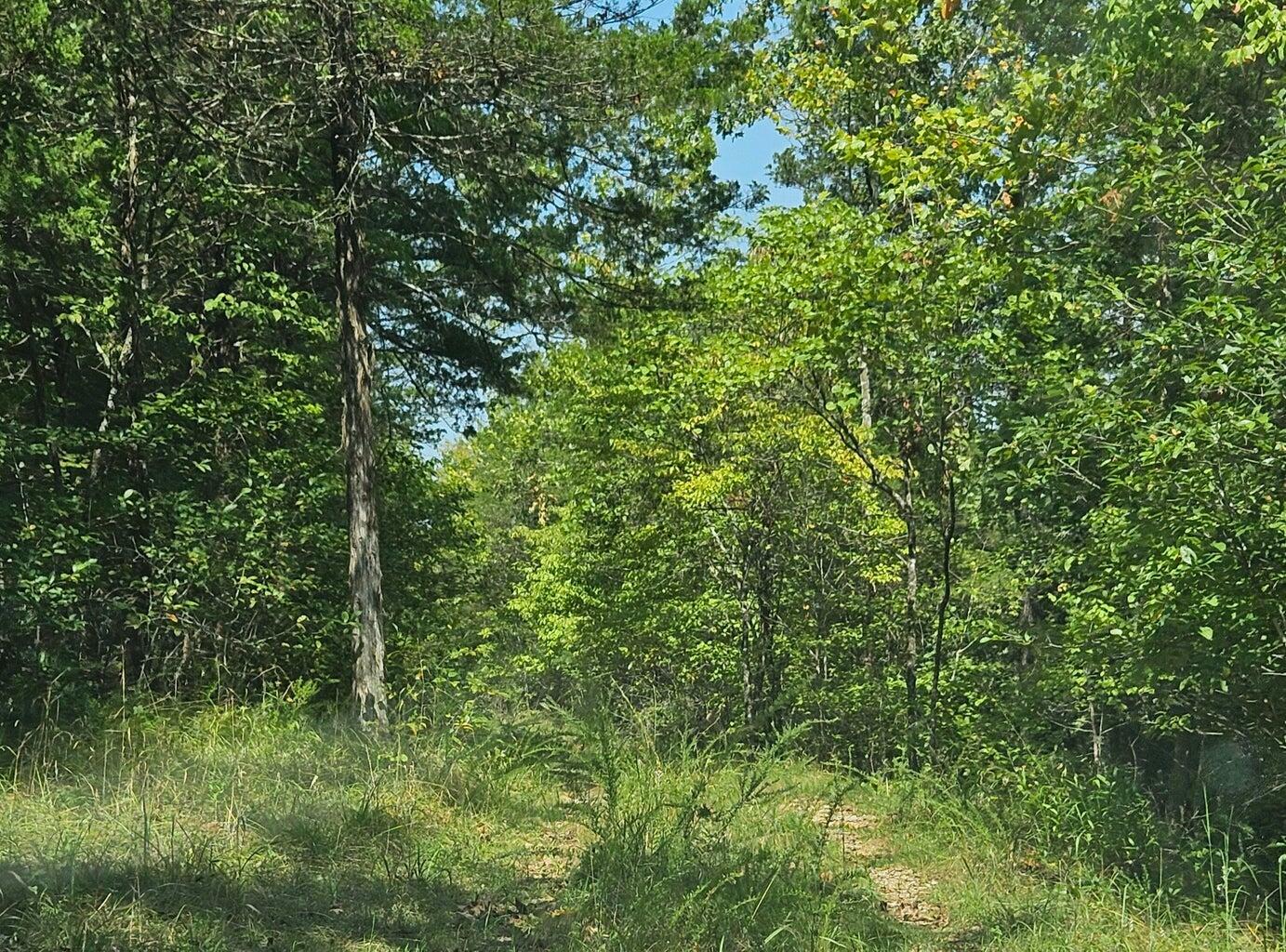 Property Photo: 000 Homestead Cedar Hills MO 65761